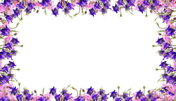 Lavender Flower Tattoo Frames