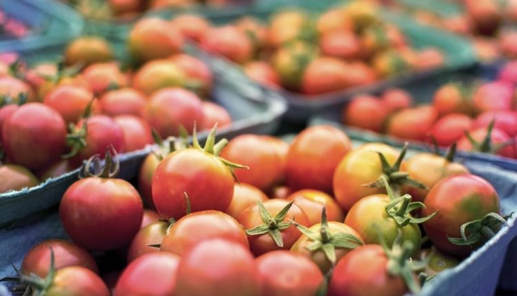 fresh n lean Mediterranean diet meal plan