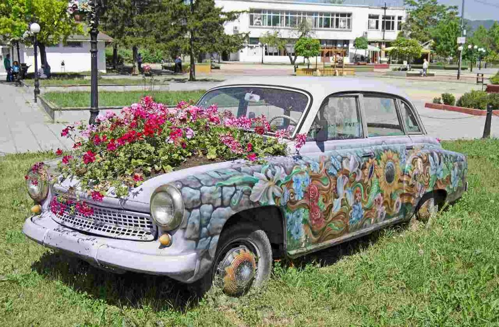 Groovy Plants