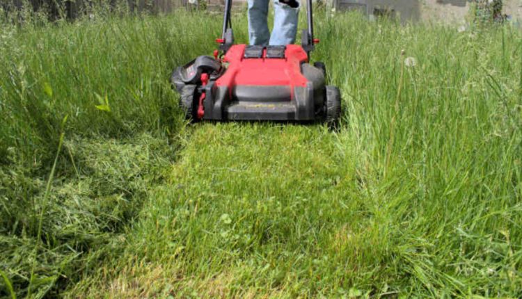 How to Choose the Best Commercial Zero Turn Mower