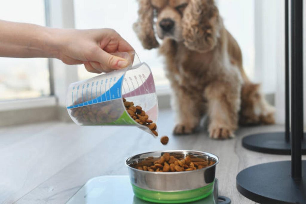 Pure Harmony Dog Food