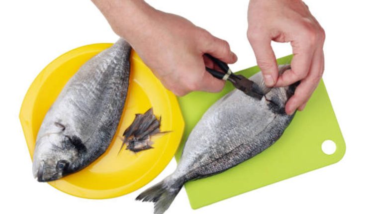 The Benefits of a Fish Cleaning Table