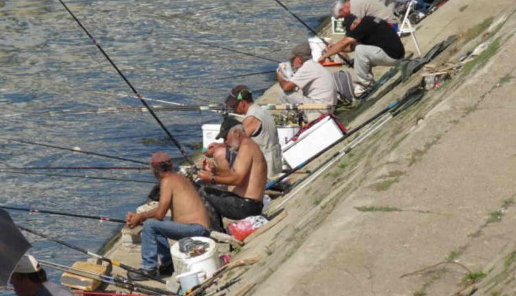 Fisher Community Bible Study