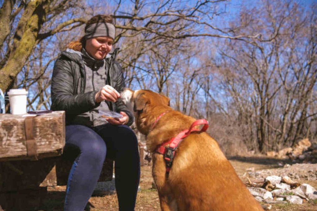 Whole Paws Dog Food Review