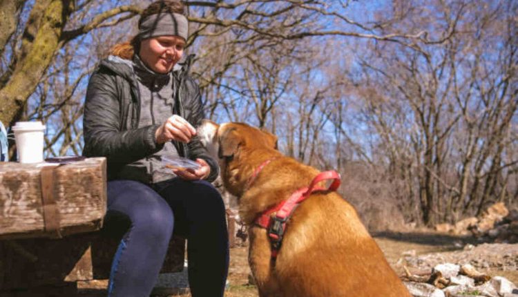 Whole Paws Dog Food Review