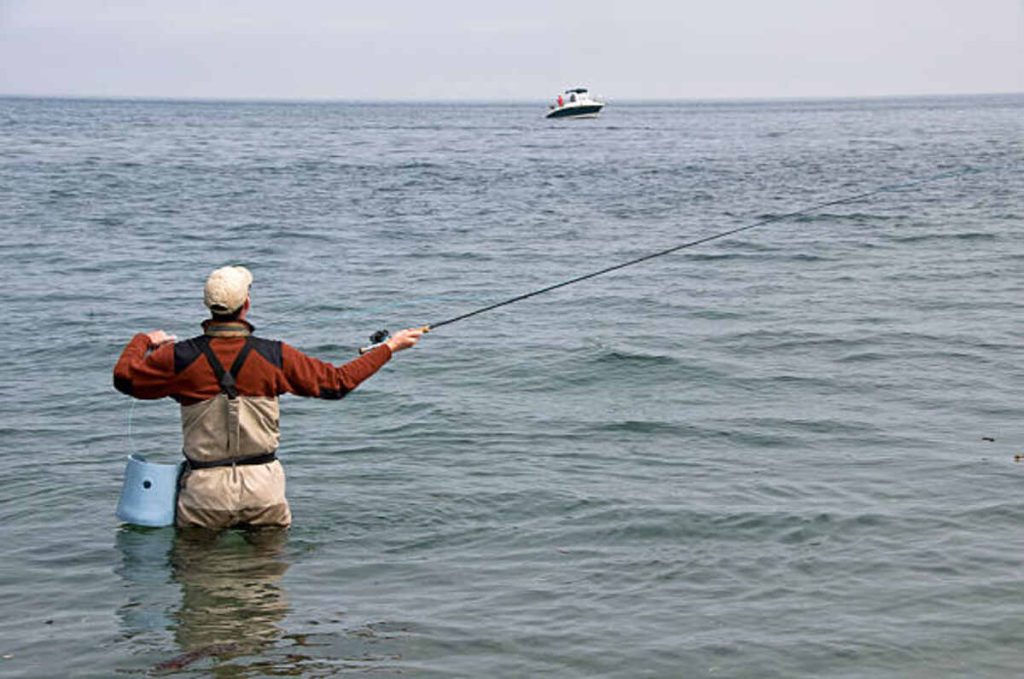 God of Fishing Wiki