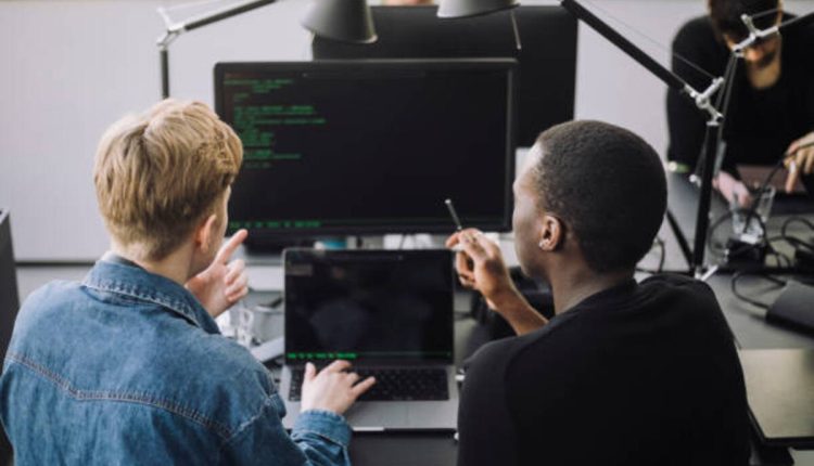 need website developer