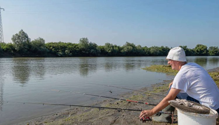 How Did Cal Fisher Get Drafted?