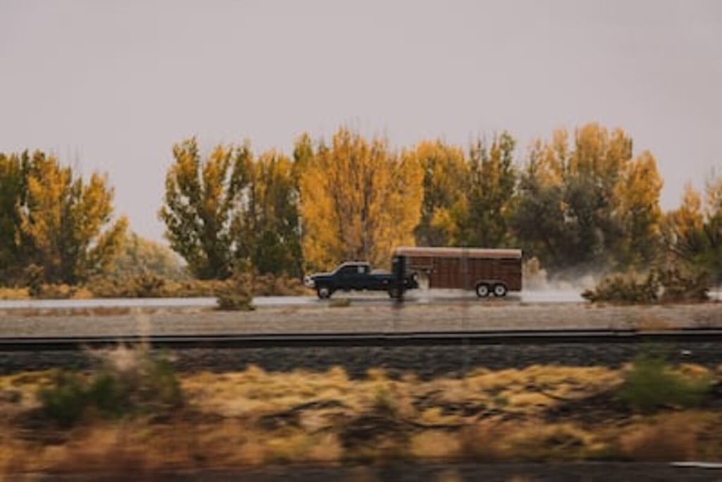 best car shipping company