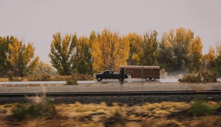 best car shipping company