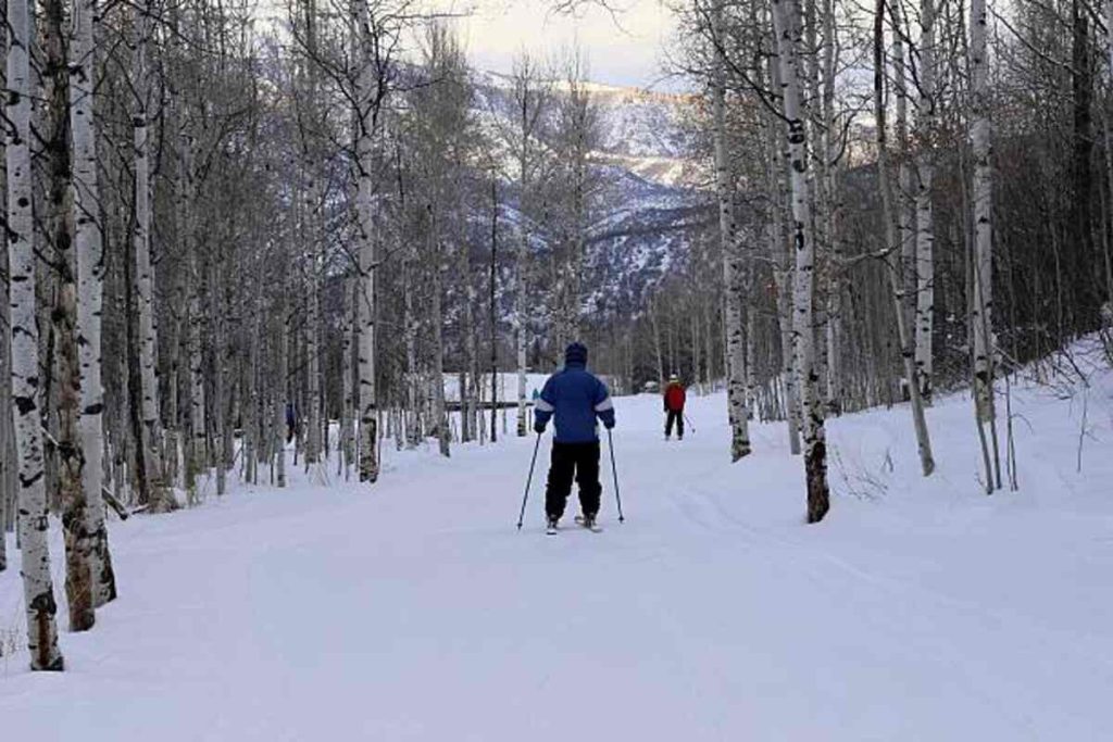 Keystone Cougar Sport