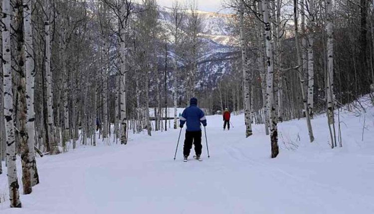 Keystone Cougar Sport