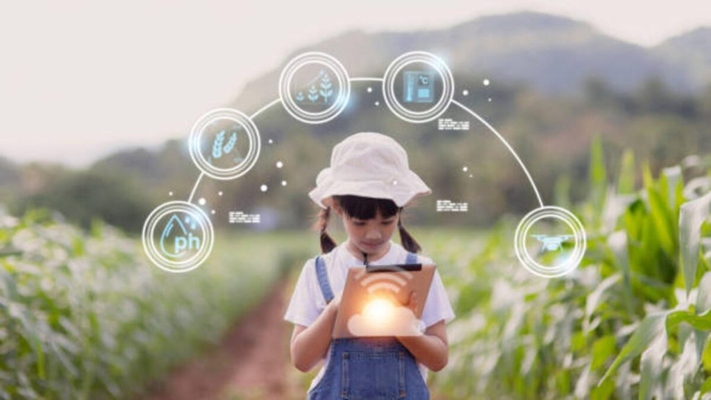 the little girl uses a tablet to analyze the growth of plants in the agricultural plot and