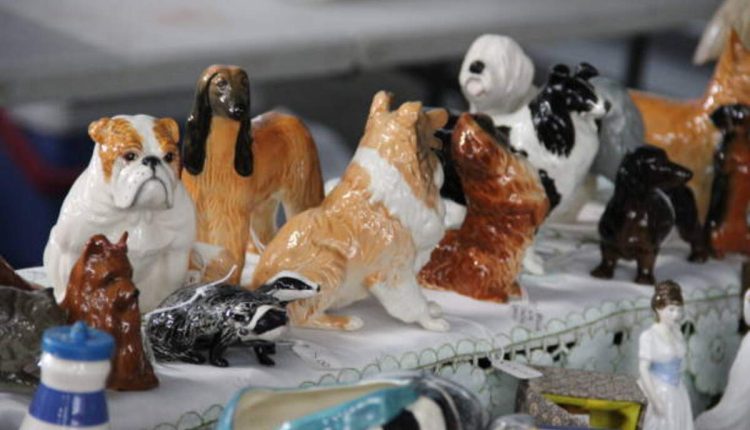 Animals For Sale - Craigslist