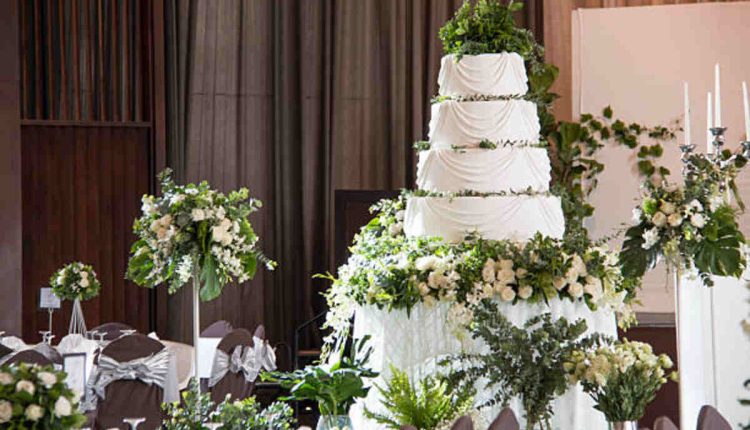 Teddy Bear Cake Pops