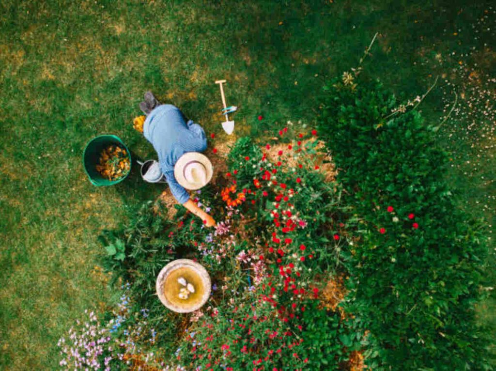 landscaping companies Mountain View