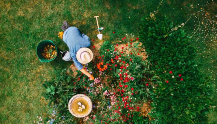 landscaping companies Mountain View