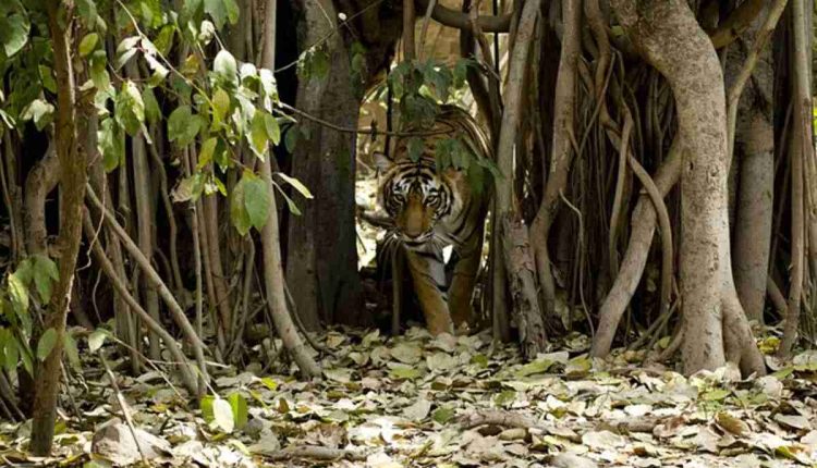 Have the Best information about airbnb.