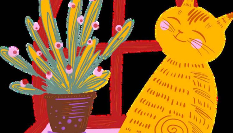 Best cat shaped pillow