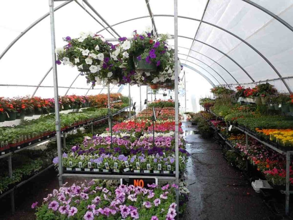Local florist near me in Norwalk, CT