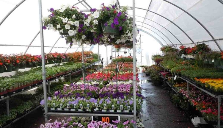 Local florist near me in Norwalk, CT