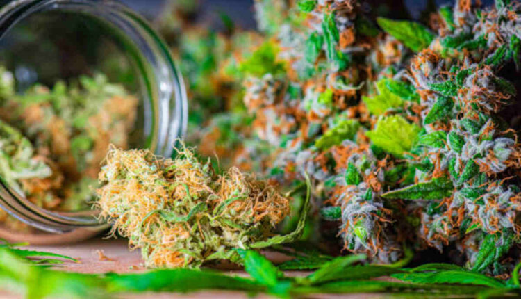 Checking the Features of DTV5 Vape