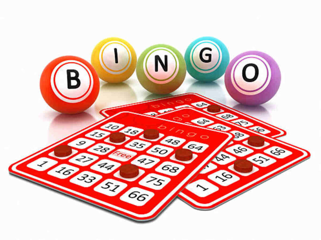 lottery 7